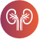 NEPHROLOGISTS (KIDNEY SPECIALIST) IN GURGAON