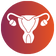   Uterine Fibroid Removal